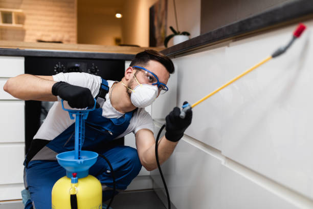 Best Cockroach Control Services  in Ball, LA