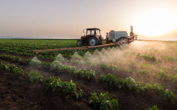 Best Pest Removal Services  in Ball, LA