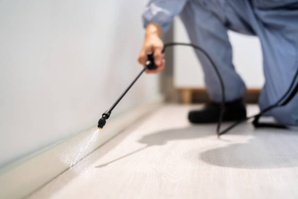 Best Pest Prevention Services  in Ball, LA