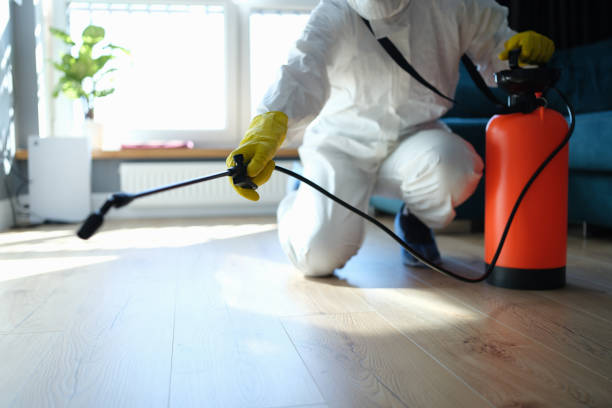 Best Affordable Pest Control Services  in Ball, LA