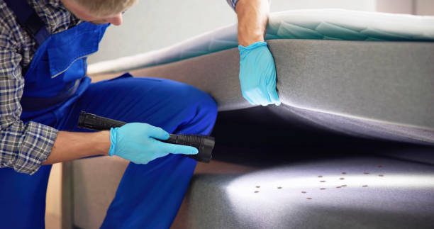 Best Residential Pest Control  in Ball, LA