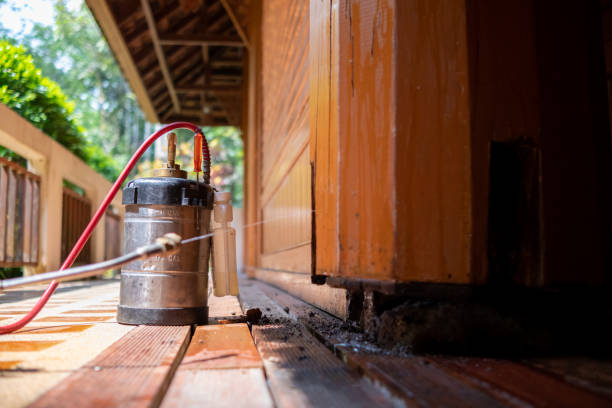 Best Best Pest Control Companies  in Ball, LA