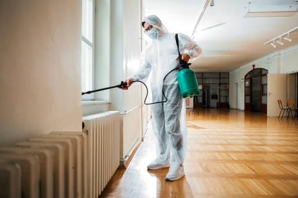 Best Insect Control  in Ball, LA