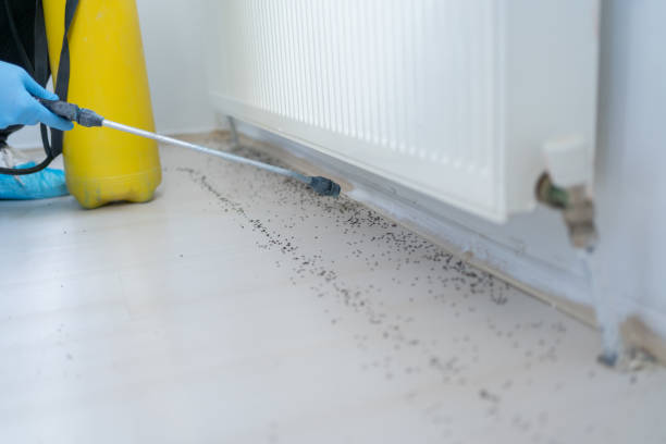 Reliable Ball, LA Pest Control Solutions