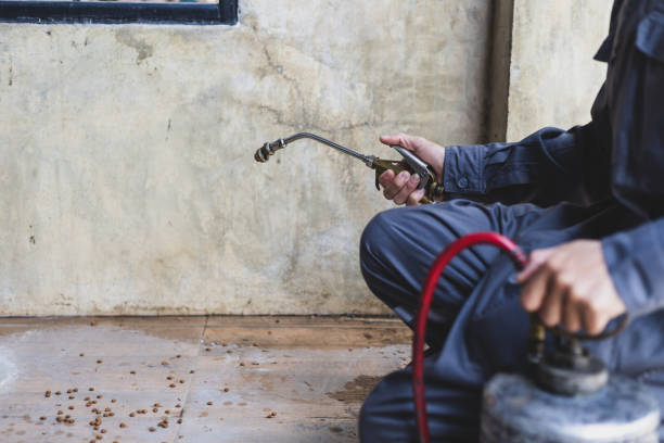 Best Mosquito Control Services  in Ball, LA